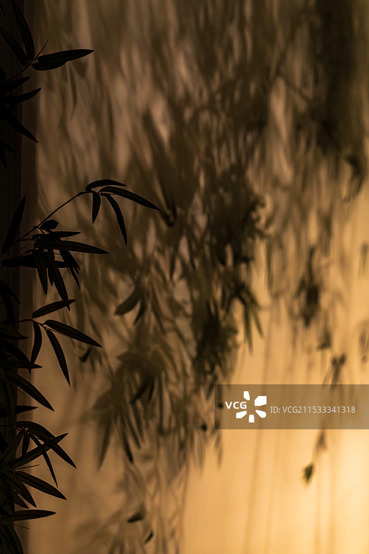 竹影图片素材