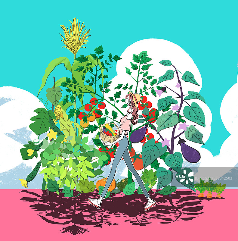 戴着草帽的女孩在收获夏季蔬菜的插图图片素材
