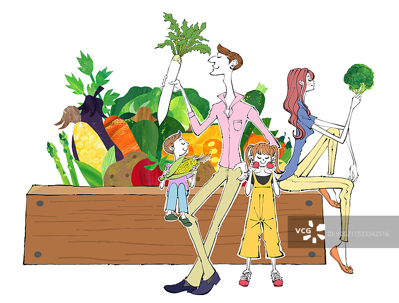 一家人在菜园里收获蔬菜的插图图片素材