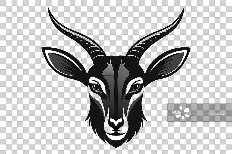 清晰轮廓的羚羊头部彩色图像图片素材
