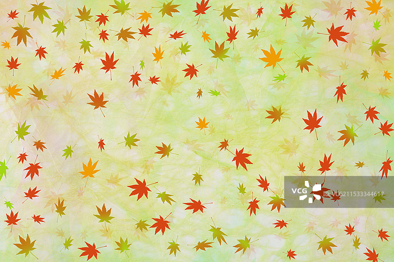 枫叶图案图片素材