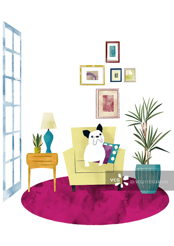客厅沙发、室内植物和狗的插图图片素材