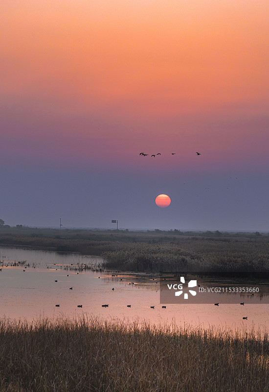 11月24日，在东营黄河入海口看一场唯美日出图片素材