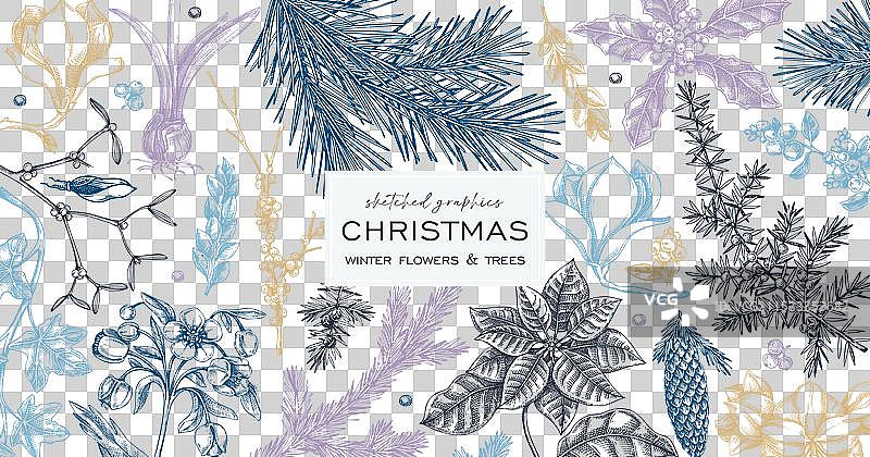 复古冬季植物圣诞横幅设计图片素材