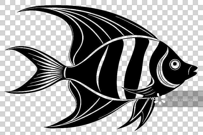 天使鱼剪影图片素材