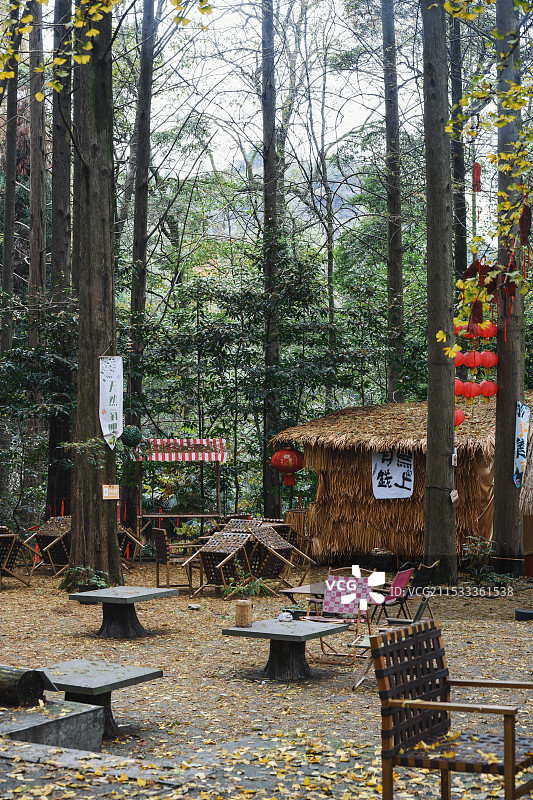 秋日丛林氧吧户外露营地图片素材