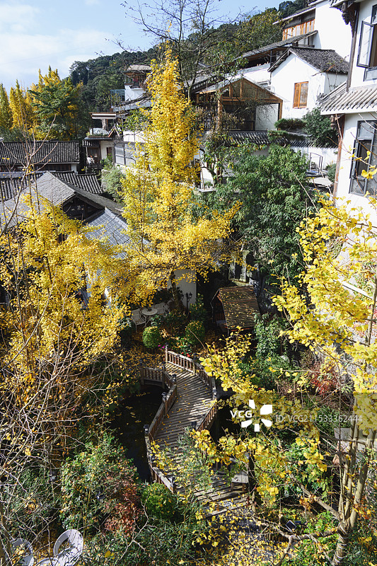 秋天银杏树下的建筑院落图片素材