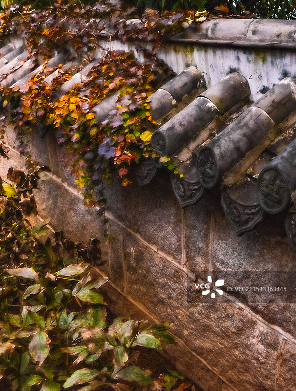 屋檐枫叶图片素材