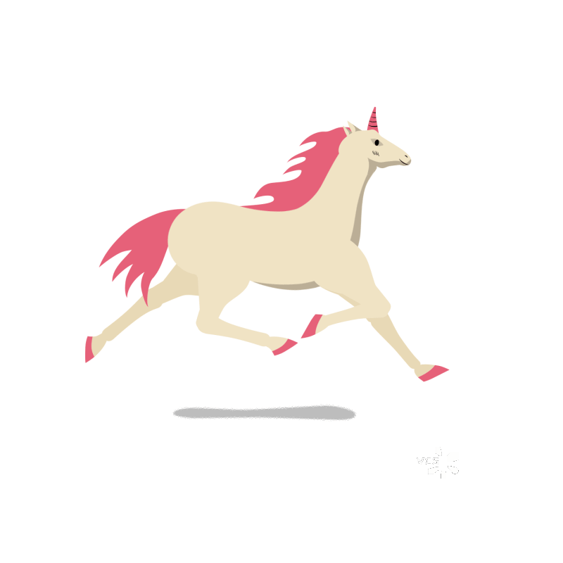 奔跑的小白马图片素材