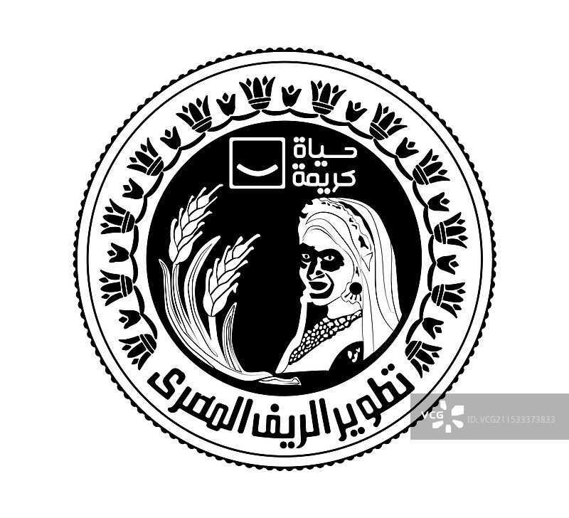 埃及一镑硬币的正面和反面图片素材