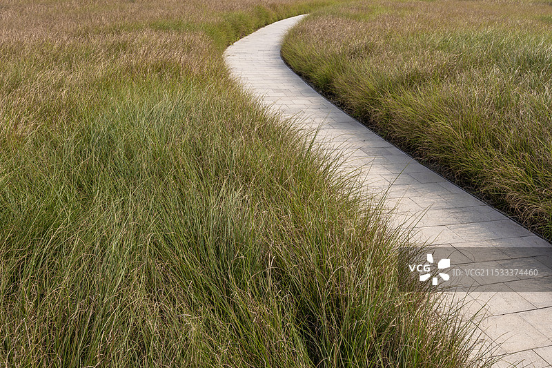 成都大熊猫繁育研究基地熊猫塔图片素材