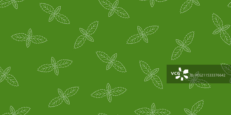 新鲜薄荷叶轮廓的无缝图案图片素材