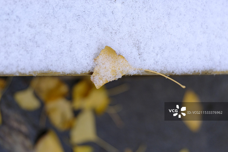 那年冬天的第一场雪图片素材