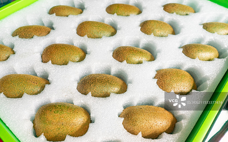 中国水果果树拍摄拍摄主题，带毛的整齐排列有序的猕猴桃水果果实，室内白昼无人图像摄影图片素材