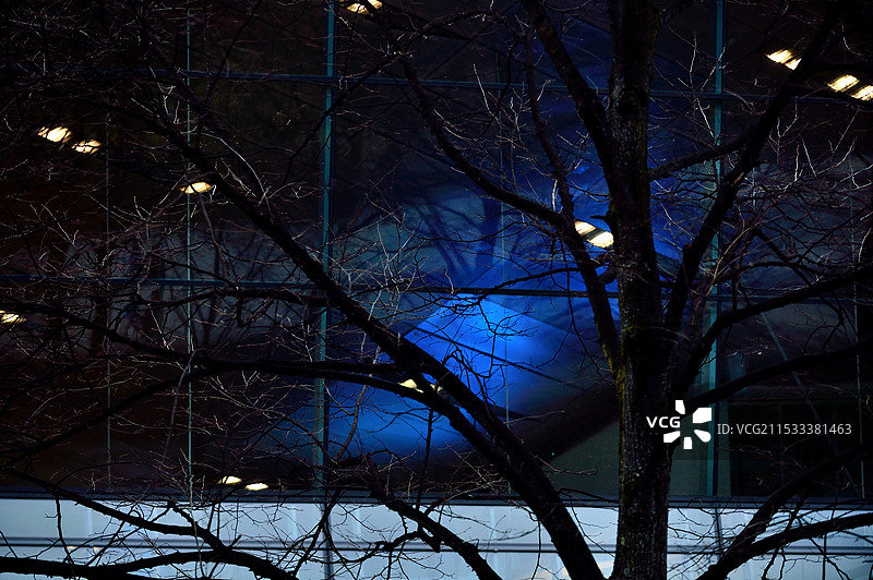 穿过树枝的城市夜晚灯光图片素材