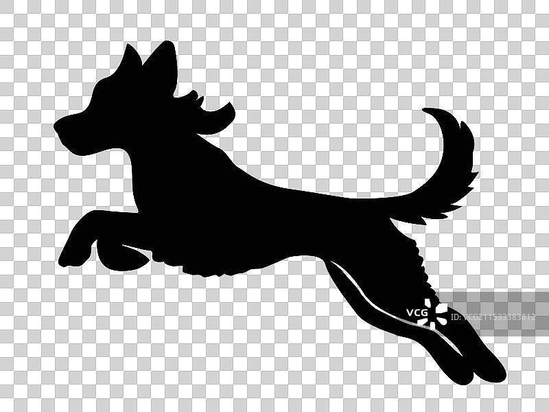 一只跳跃的狗图片素材