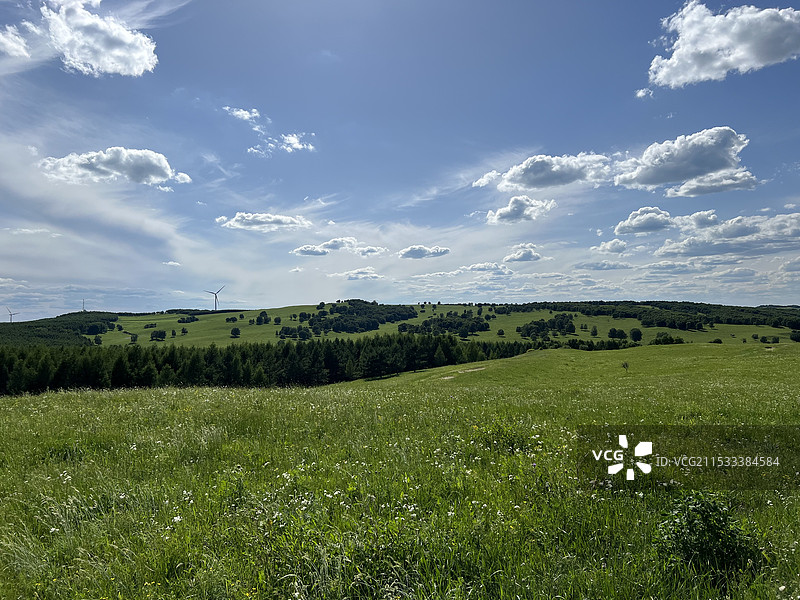 河北承德御道口，美丽的大草原图片素材