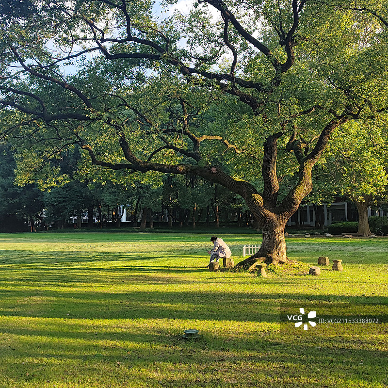 华东政法大学长宁校区草坪图片素材