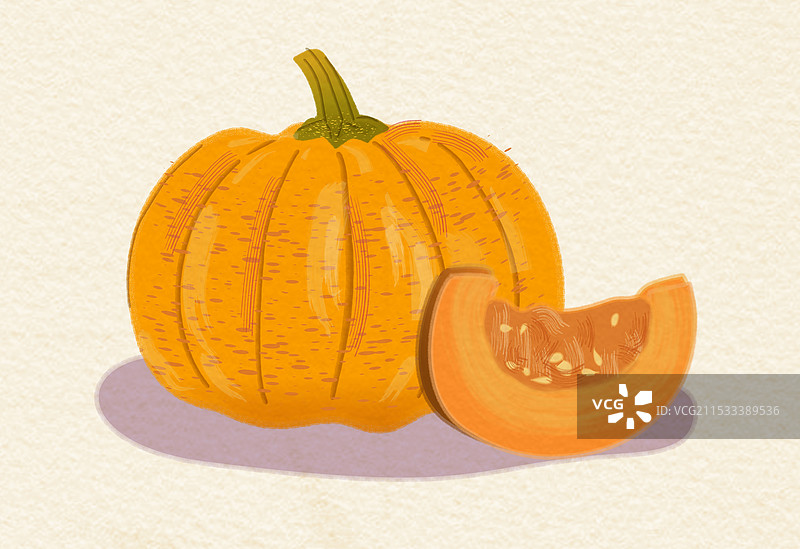 南瓜矢量仿手绘肌理插画图片素材