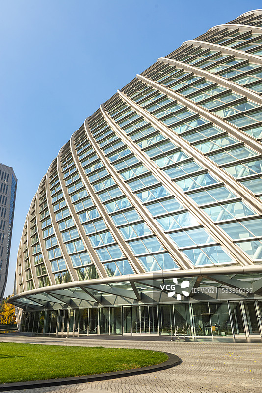 北京凤凰国际传媒中心PHOENIX秋天金黄色银杏树天空图片素材