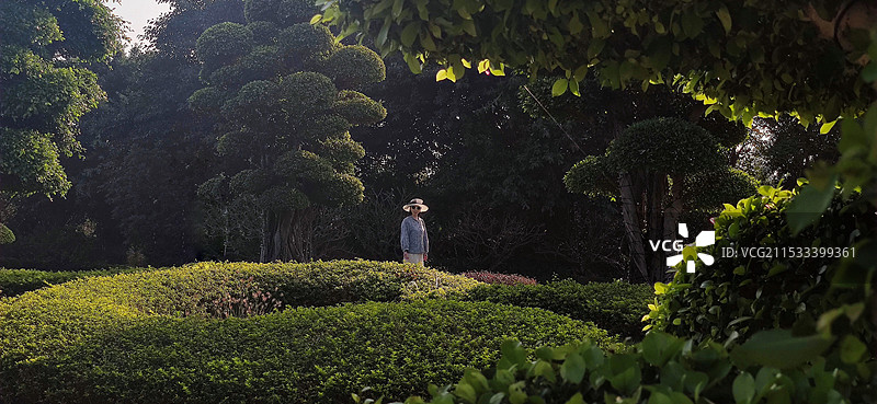 海花岛图片素材