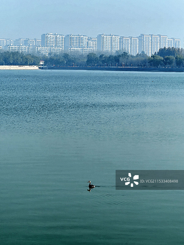 冬日金牛湖风景掠影图片素材