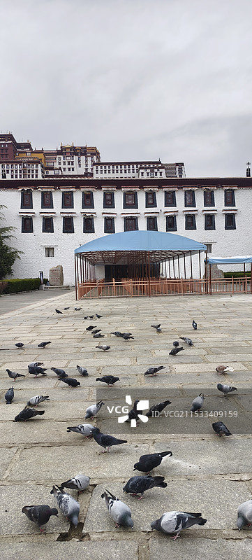 西藏拉萨布达拉宫广场图片素材