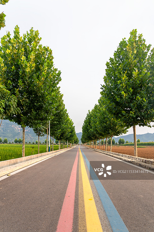 农村道路交通图片素材