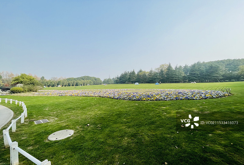 上海世纪公园大草坪 秋天冬天十二月风光图片素材