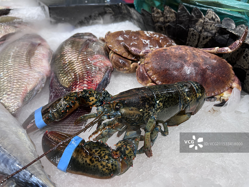 超市里的波士顿龙虾 海鱼 海鲜 海产 食物图片素材