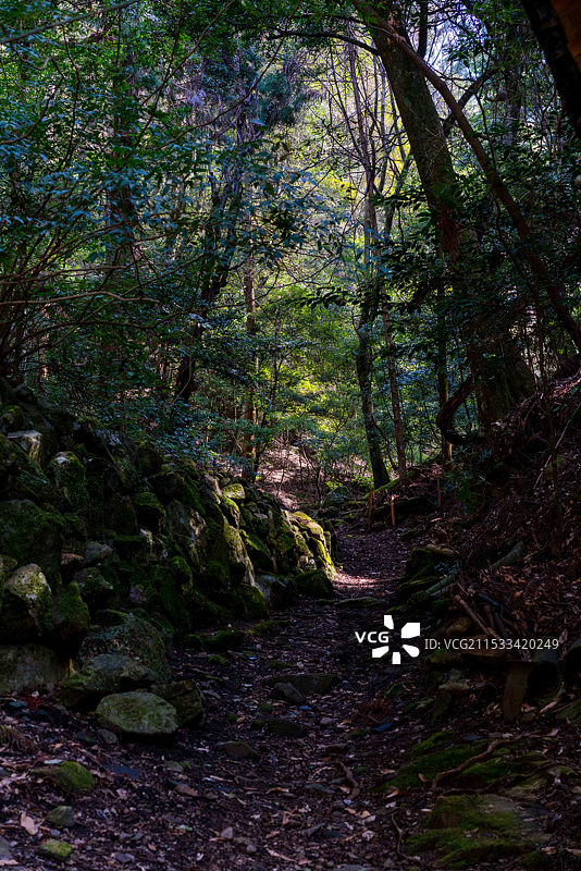 日本奈良县奈良公园春日山风光美景图片素材