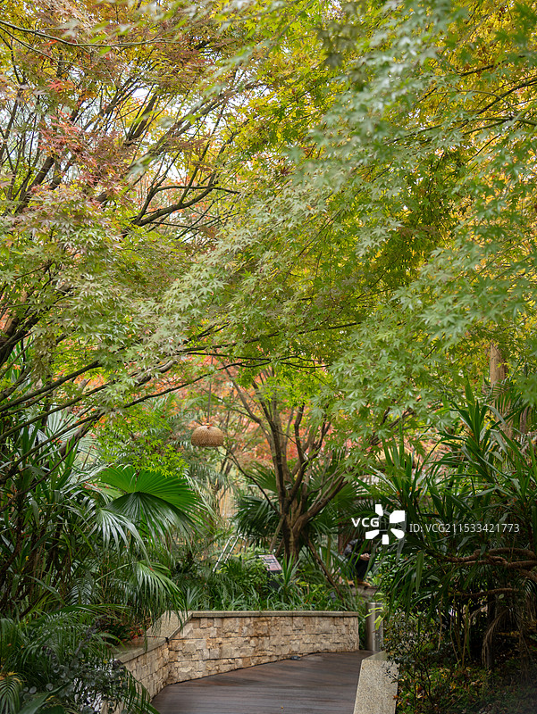 崇州九龙沟的秋天图片素材