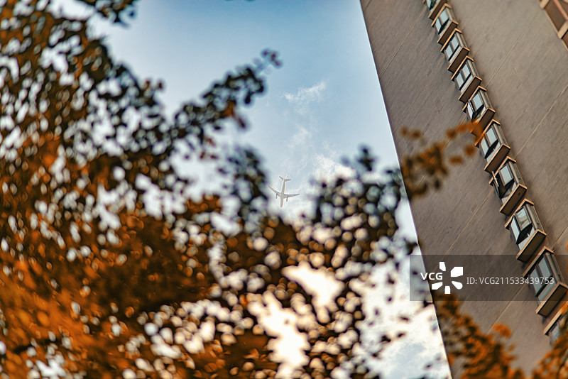 秋叶间穿梭的飞机图片素材