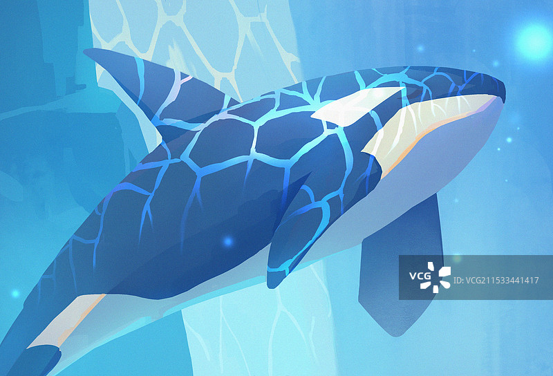 海洋里的鲸鱼图片素材