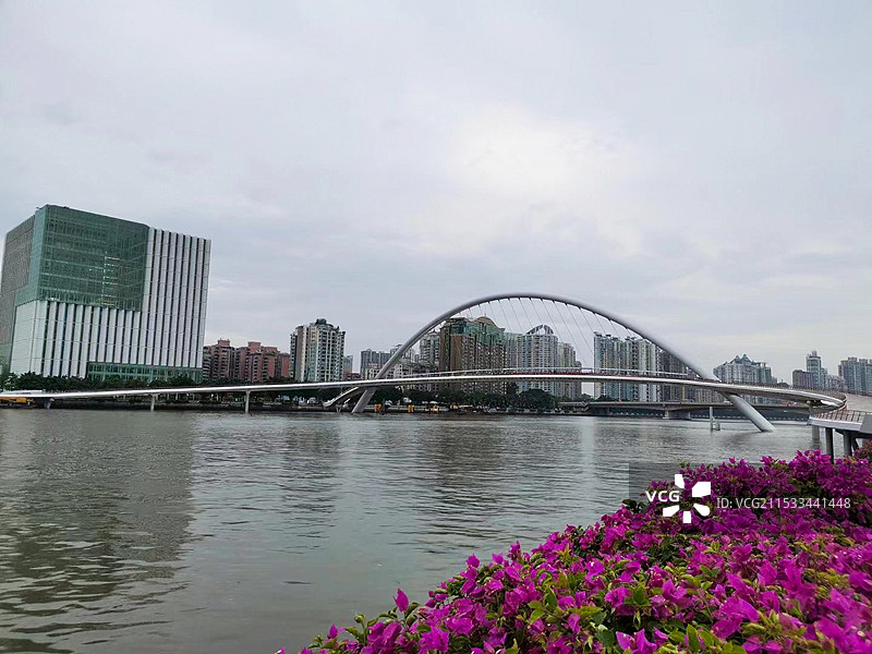 广州海心桥图片素材