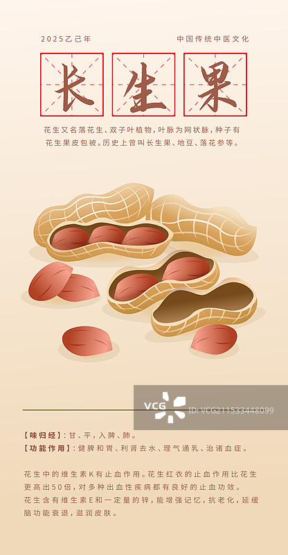 花生 清新卡通传统中药药草和美食系插画海报图片素材