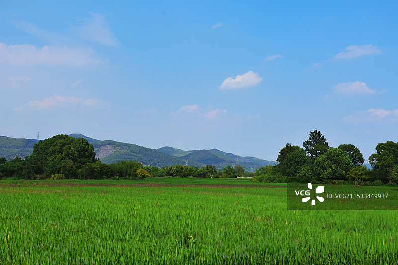 狂野｜田园风光图片素材