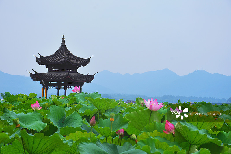 西湖风景图片素材