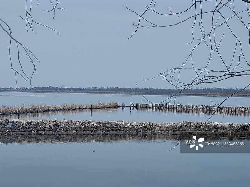 卧龙湖 鸟栈图片素材