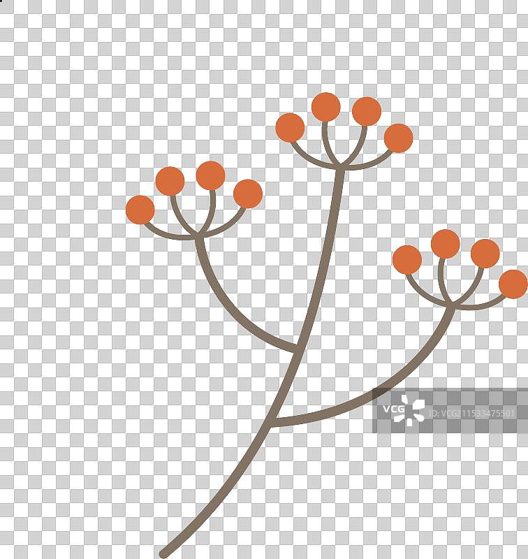 森林中的带浆果的树枝图片素材