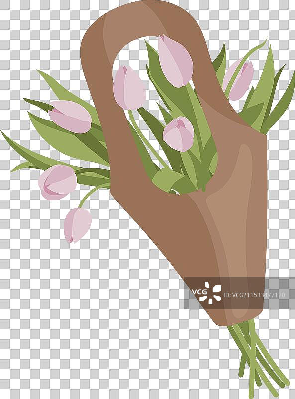 新鲜春季郁金香花束包装好图片素材