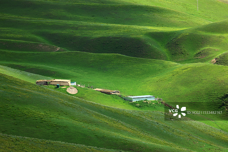 那拉提草原，走进童话世界图片素材