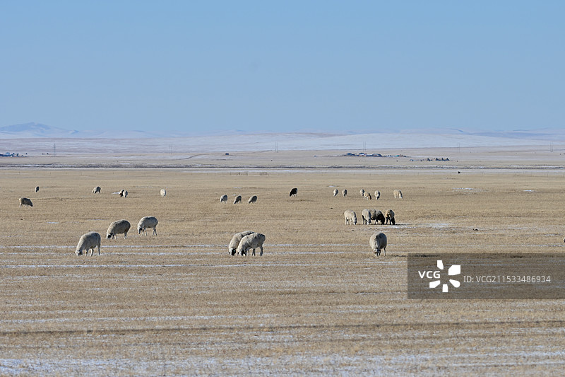 雪中呼伦贝尔图片素材