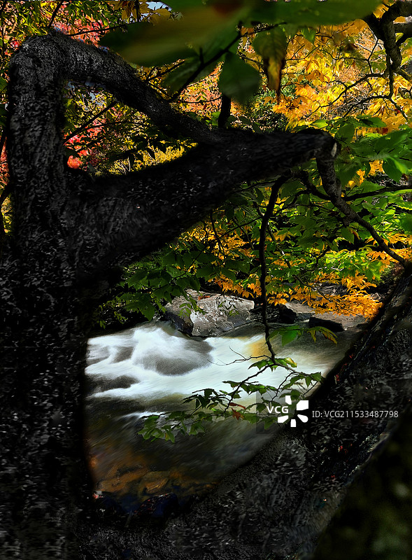 牛舌河之秋(手机摄影)图片素材