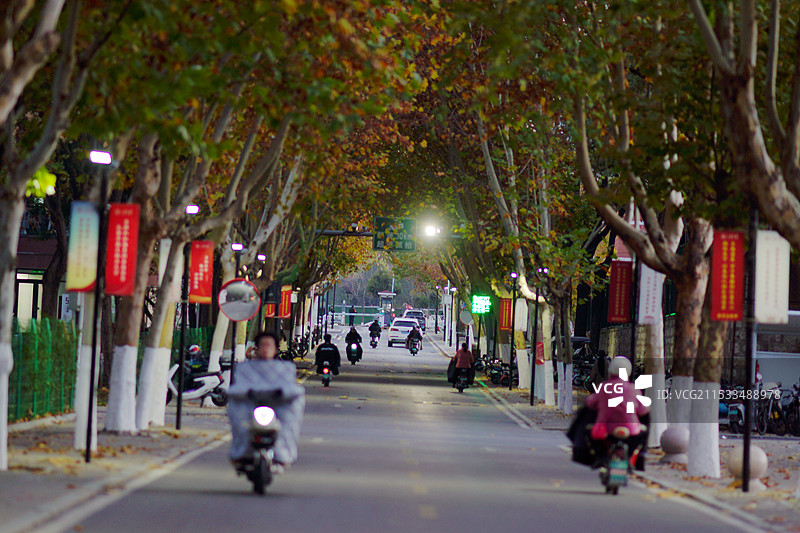 趵突泉校区初冬图片素材