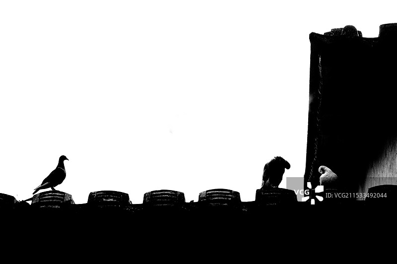 三小只图片素材