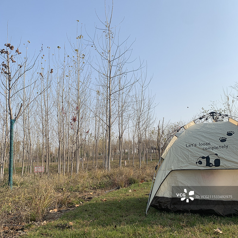 露营时光图片素材