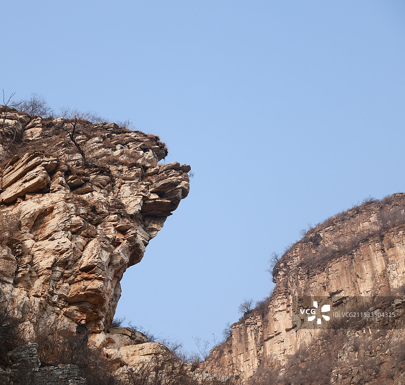 像只哈士奇的岩石图片素材