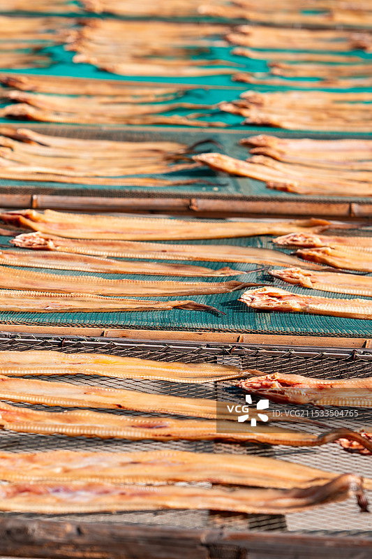 舟山六横岛台门扫街图片素材