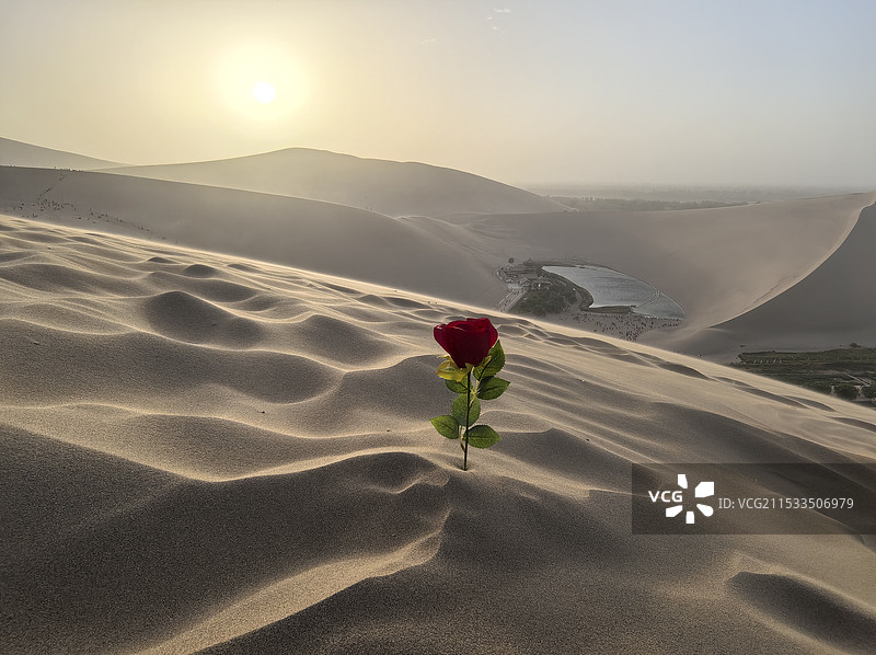 沙漠玫瑰图片素材